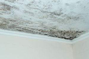 The Impact of Humidity on Basement Health