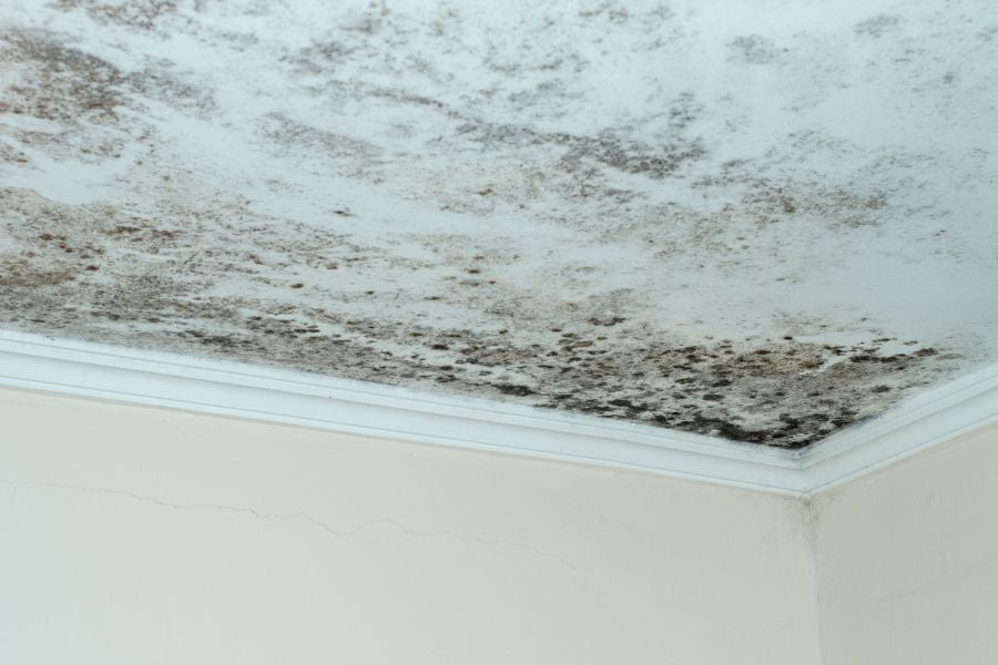 The Impact of Humidity on Basement Health