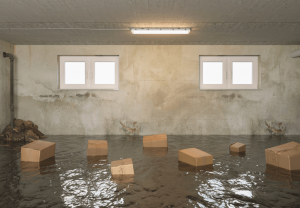 Expert-Basement-Leak-Repair-Solutions