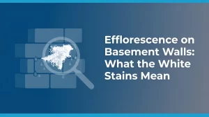 Illustration of a basement foundation wall with white efflorescence deposits under the headline Efflorescence on Basement Walls What the White Stains Mean